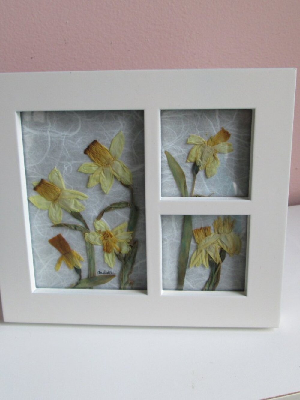 Pressed Yellow Daffodils in White Frame